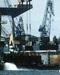 Kieler Hafen