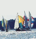 Segelregatta