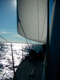 Segelt&ouml;rn auf der BRUDEN